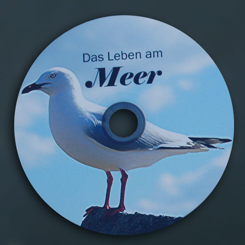 Eine Möwe, vor blauem Himmel fotografiert, gedruckt auf weißer CD. Himmel und Wolken sind deutlich unterscheidbar.